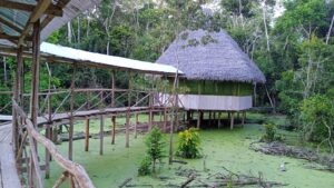 3 days 2 nights jungle tour