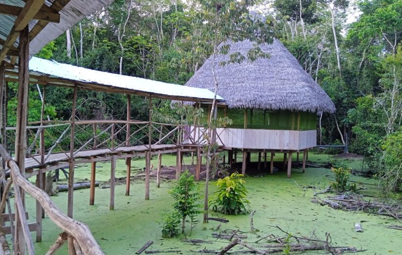 3 days 2 nights jungle tour