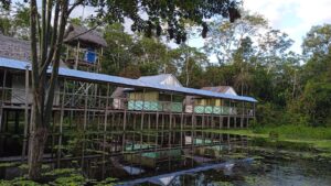 2 days 1 night iquitos jungle tour