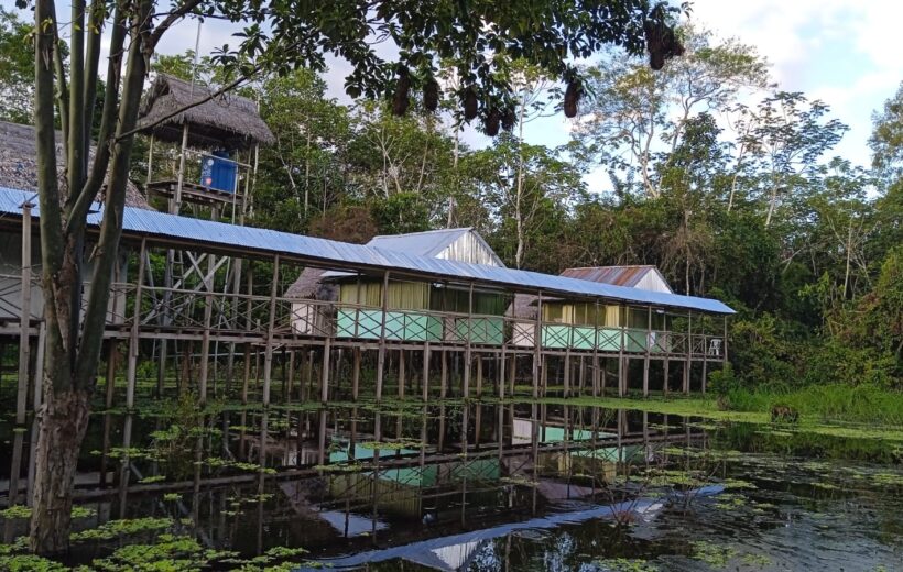 2 days 1 night iquitos jungle tour